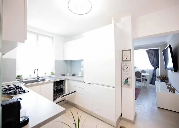 Joyful Appartement Timişoara