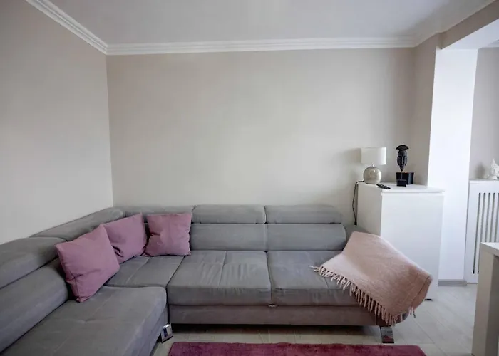 Joyful דירה טימישוארה