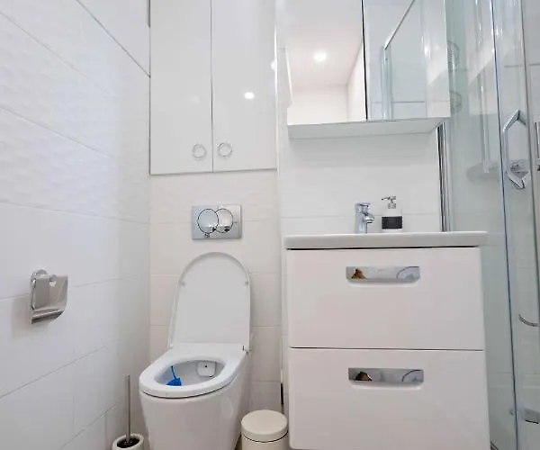 Joyful * טימישוארה